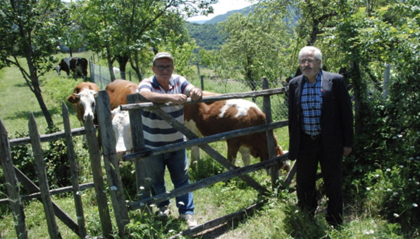 Bartın’da şap hastalığı nedeniyle hayvan pazarları kapatıldı