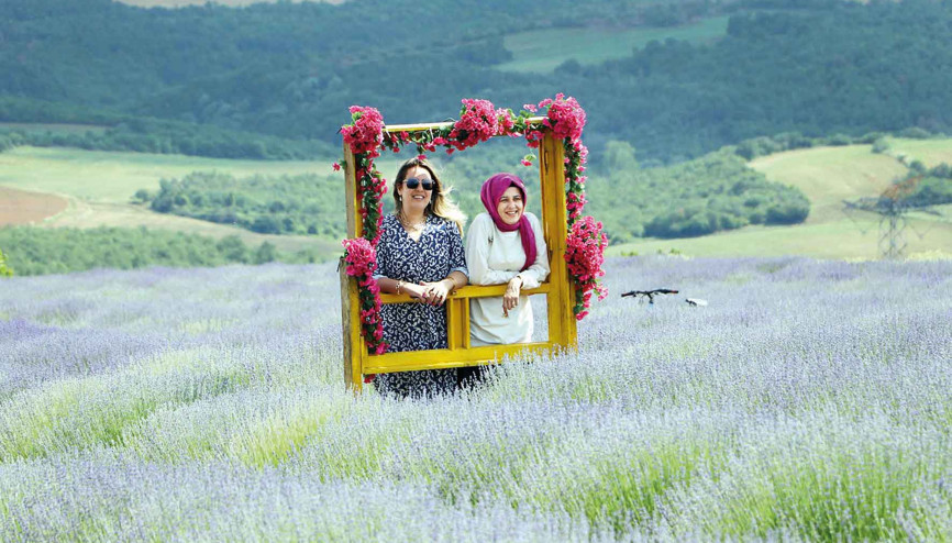 Mor salkımlı poz... Lavanta bahçeleri ziyarete açıldı Mor salkımlı poz... Lavanta bahçeleri ziyarete açıldı