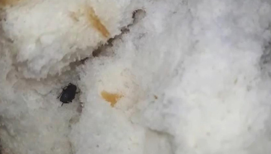 Ekmeğin içinden böcek çıktı