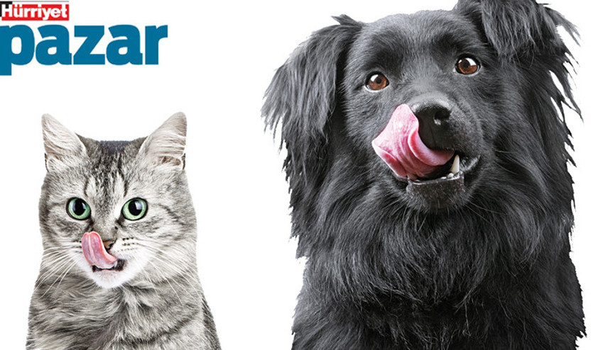 Ev yapımı çizburger, muffin köfte, kerevizli tavuk çorbası... Dostlarımız bu tariflere bayılacak