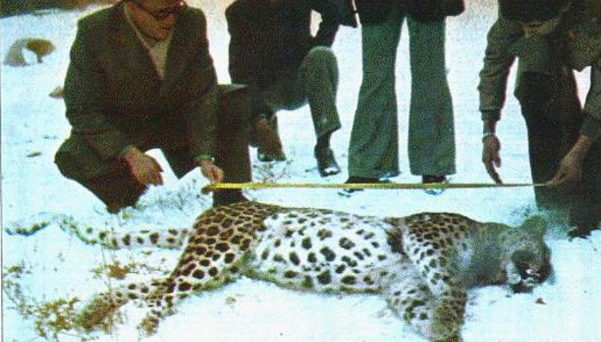 Ankara’nın son parsı