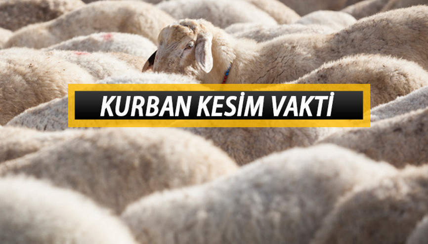 KURBAN KESİM VAKTİ: Kurban en son ne zaman kesilir Bayramın 3. veya 4. günü kurban kesilir mi İşte Diyanet bilgisi KURBAN KESİM VAKTİ: Kurban en son ne zaman kesilir Bayramın 3. veya 4. günü kurban kesilir mi İşte Diyanet bilgisi