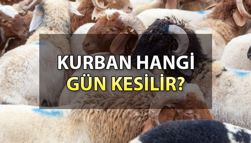 Kurban hangi gün kesilir (Diyanet) Kurban kesim vakti ne zaman başlar ve biter Kurban hangi gün kesilir (Diyanet) Kurban kesim vakti ne zaman başlar ve biter