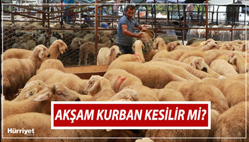 Akşam kurban kesilir mi | Akşam ezanından sonra gece kurban kesilir mi, saat kaça kadar kesilir Diyanetten kurban kesim vakti açıklaması Akşam kurban kesilir mi | Akşam ezanından sonra gece kurban kesilir mi, saat kaça kadar kesilir Diyanetten kurban kesim vakti açıklaması