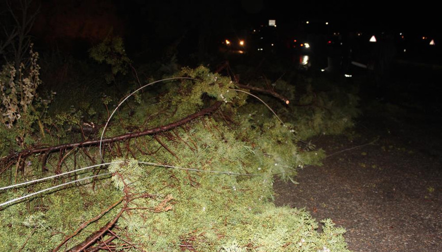 Fırtına Alaşehiri vurdu Ağaçlar devrildi park halindeki araçlar zarar gördü