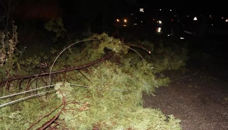 Fırtına Alaşehiri savaş alanına çevirdi... Ağaçlar devrildi, park halindeki araçlar zarar gördü