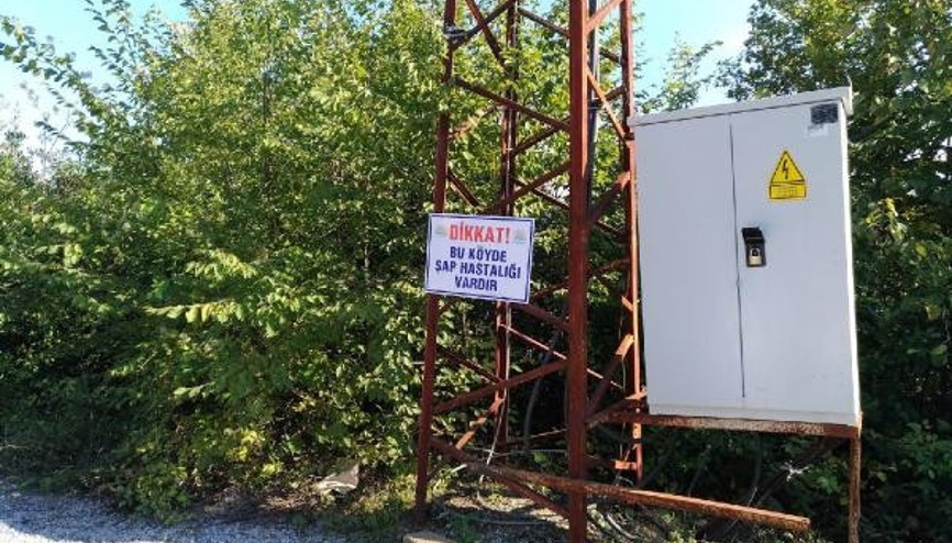 Zonguldakta hangi köyler karantina altında Şap hastalığı nedeniyle 136 köyde şap önlemi