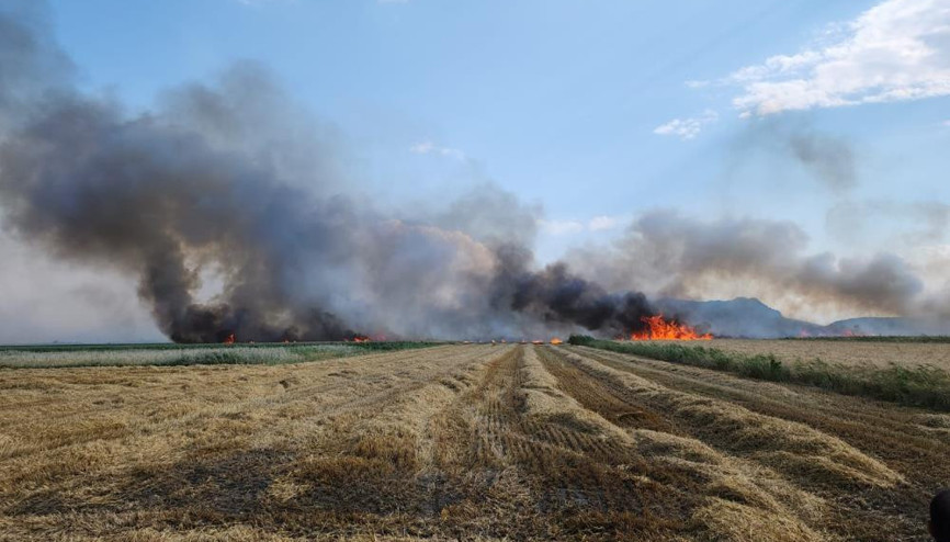 Elektrik tellerinden çıkan kıvılcımlar tarım arazisini küle çevirdi