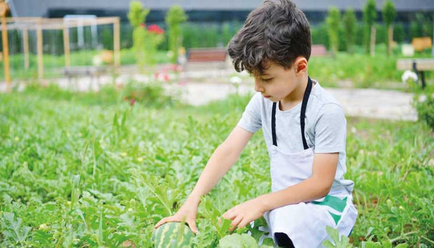 Küçük bahçıvanlar