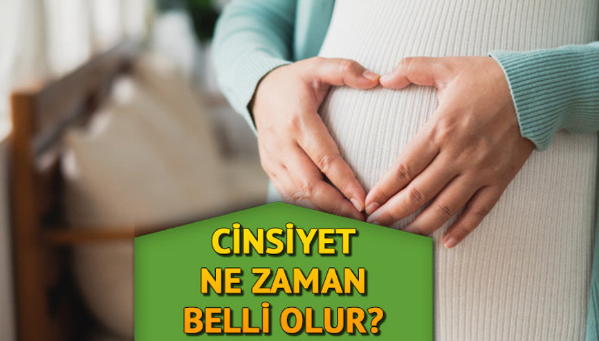 Cinsiyet ne zaman belli olur  Anne karnındaki bebeğin cinsiyeti kaçıncı haftada/ayda kesin anlaşılır