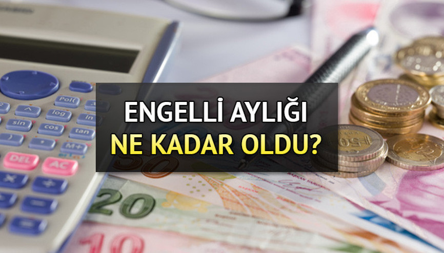 ENGELLİ AYLIĞI ZAMMI NE KADAR OLDU || Yeni engelli aylığı ne kadar, kaç TL Zamlı ücretler açıklandı İşte Temmuz 2023 güncel tutarlar...
