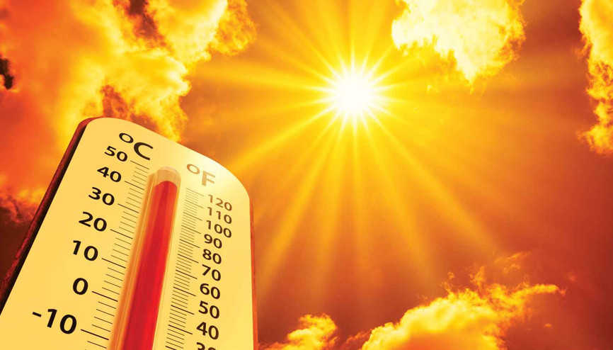 Yeşil dönüşüm hem şart hem fırsat... Sıcaklığın faturası ağırlaşıyor