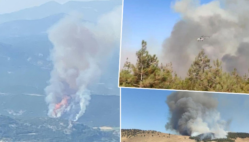 Gaziantep ve Muğlada orman yangını Gaziantep ve Muğlada orman yangını