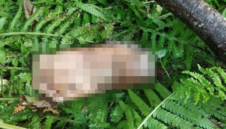 Ayak parçası bulundu anonsunu duyanlar kulaklarına inanamadı