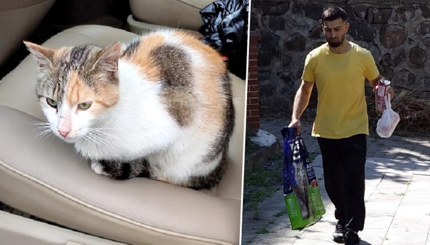 Trabzonda belediyenin bakım merkezinde kedisi öldü, CİMERe başvurdu: Ölen kedimin hakkını savunacağım Trabzonda belediyenin bakım merkezinde kedisi öldü, CİMERe başvurdu: Ölen kedimin hakkını savunacağım