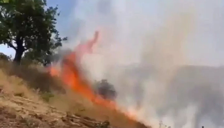 Siirtte fıstık bahçelerinde yangın çıktı