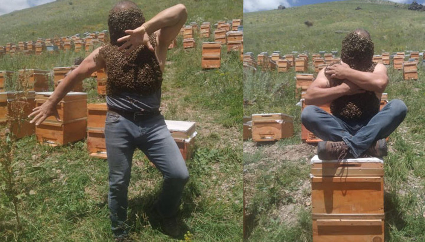 Karslı arıcı binlerce Kafkas arısını vücuduna aldı