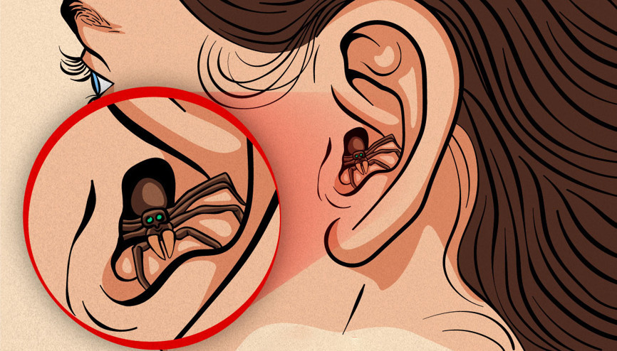 Bir hamam böceği ya da örümcek, ayakları ile kulağınızı kaşıyor olabilir... Kulağa kaçan böcekler beyne kadar ilerler mi