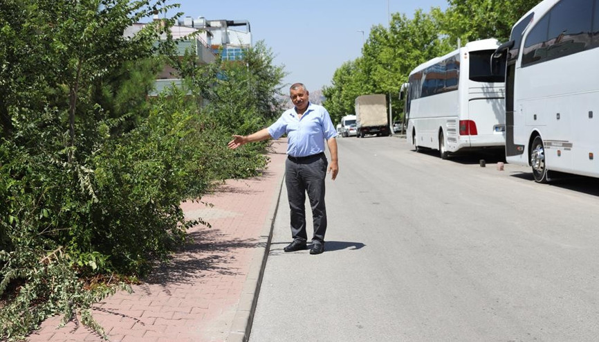 Aydınlıkevler’de yılan ve sivrisinek tedirginliği