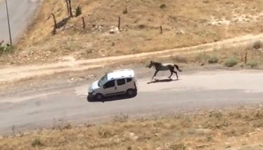Elazığda tepki çeken görüntü Atı aracın arkasına bağlayıp koşturdu Elazığda tepki çeken görüntü Atı aracın arkasına bağlayıp koşturdu