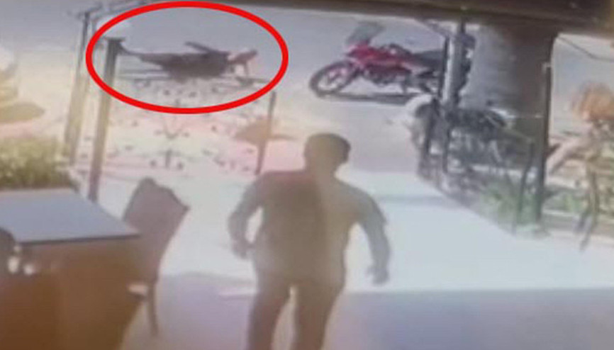 İzmirde köpeği tekmeleyerek öldürdü 4 yıla kadar hapis istemi