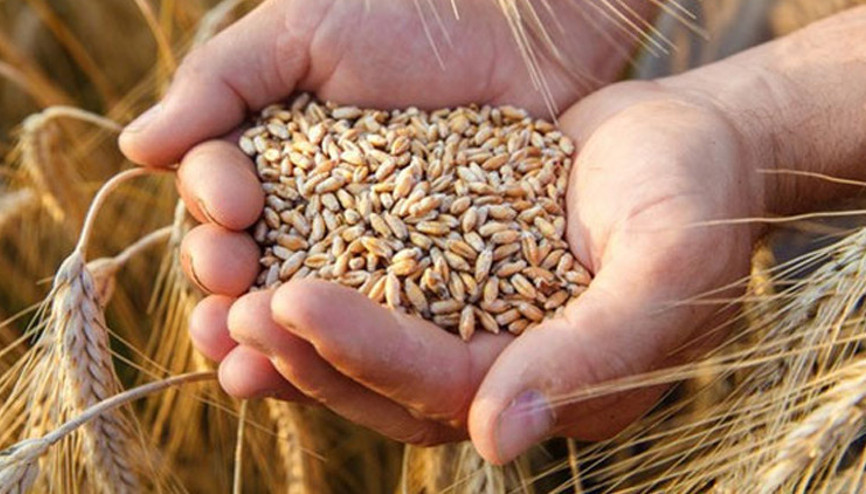 Ukrayna tahıl ihracatı için Hırvatistan ile anlaştı