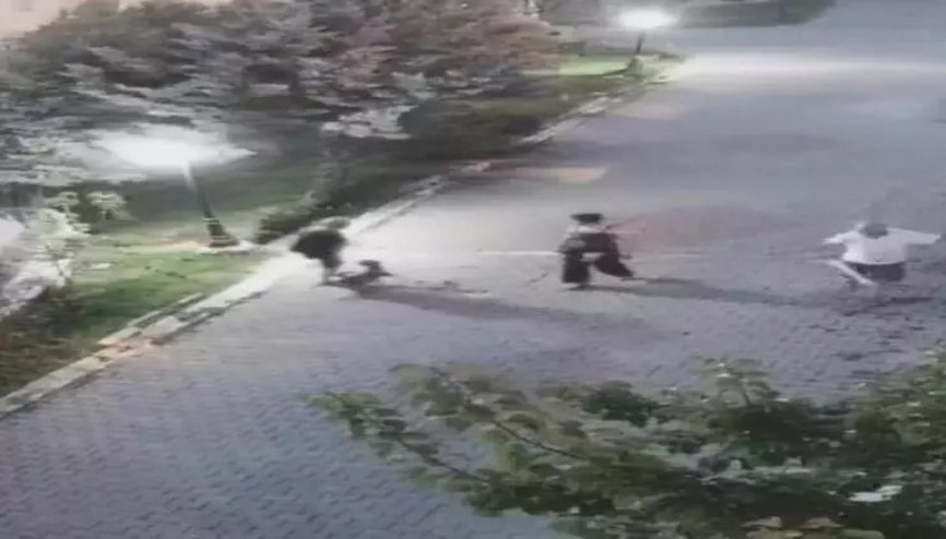 Ankarada yaşlı kadına köpek saldırısı kamerada