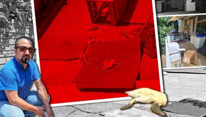 Kocaelide pet shop katliamı Kocaelide pet shop katliamı