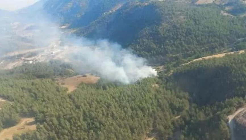İzmirin Kınık ilçesinde orman yangını