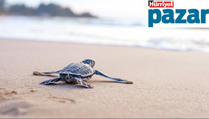 ‘Bindik bir alamete, gediyoz kıyamete...’