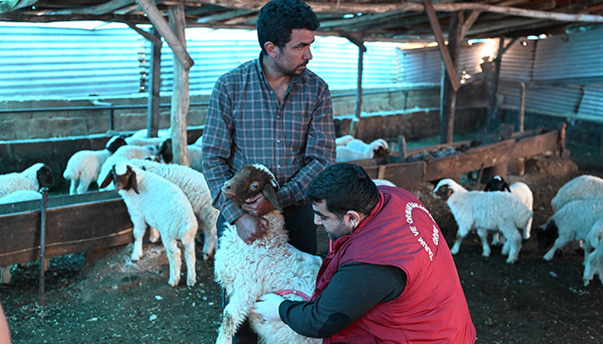 Bakanlık deprem bölgesindeki faaliyetlerini paylaştı Çiftçilere toplam 8,8 milyar lira destek ödemesi yapıldı