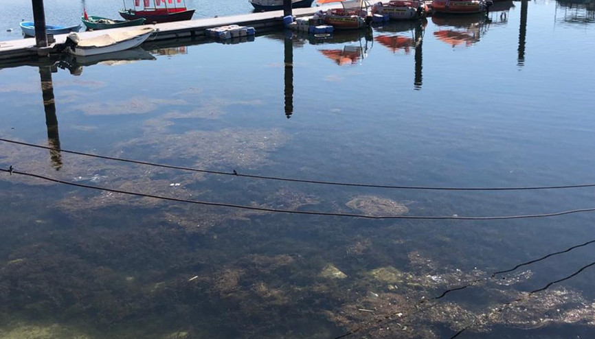 Eğirdir ve Beyşehir gölleri için kritik uyarı: Bir damla dahi su almayın Eğirdir ve Beyşehir gölleri için kritik uyarı: Bir damla dahi su almayın