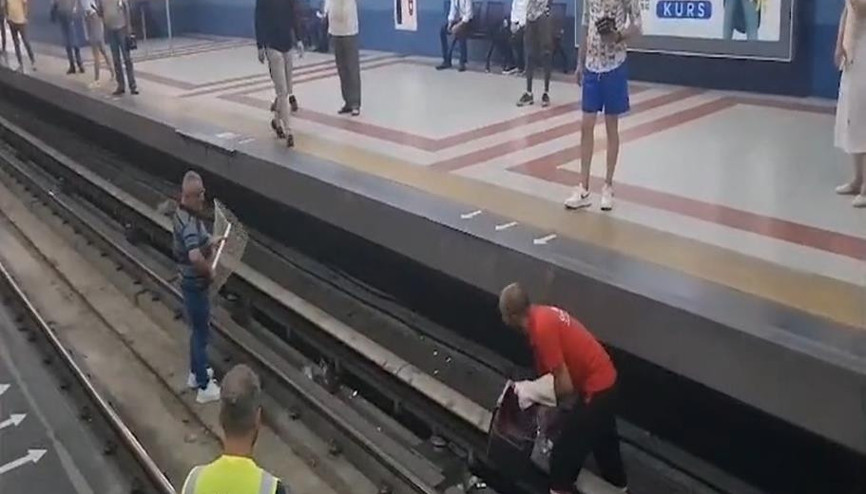 Rayda kedi kovalamaca