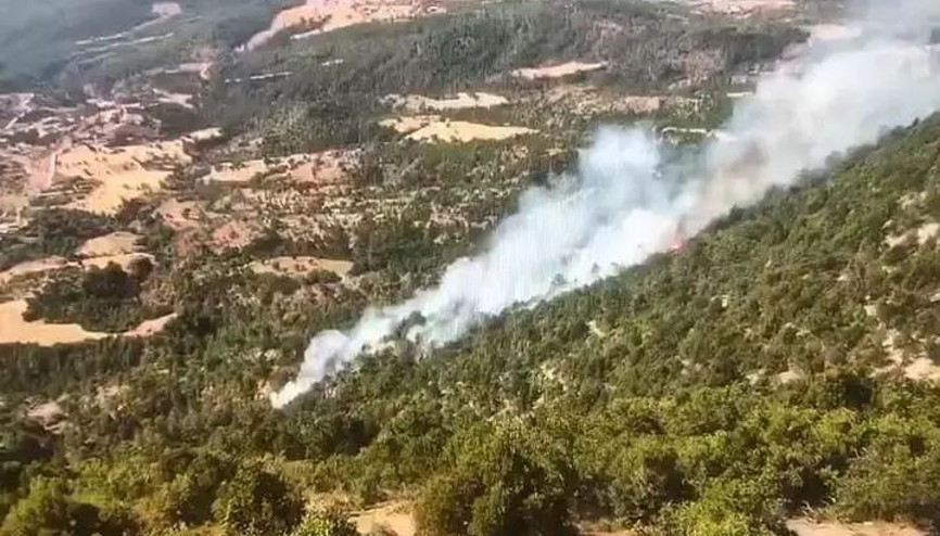 Bolu Göynükte orman yangını