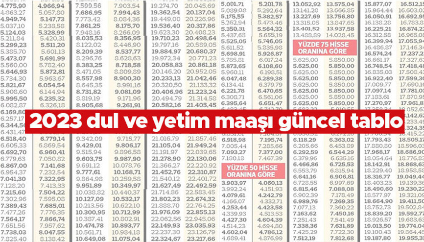 DUL VE YETİM MAAŞI ZAMLI LİSTE 2023 | Güncel artış değerli ile birlikte dul ve yetim aylığı ne kadar kaç TL oldu İşte güncel maaş bilgisi
