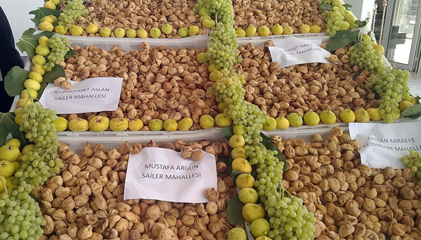 Aydının ilk kuru inciri satıldı