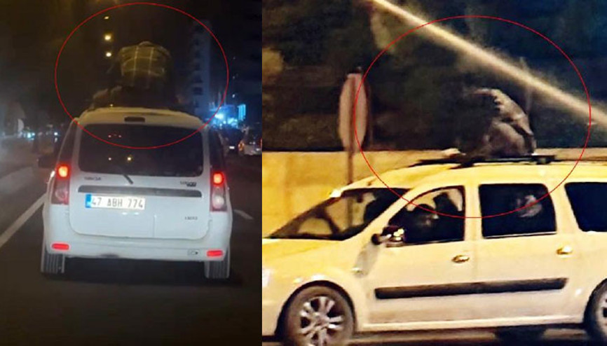 Akılalmaz görüntü Yürekler ağza geldi