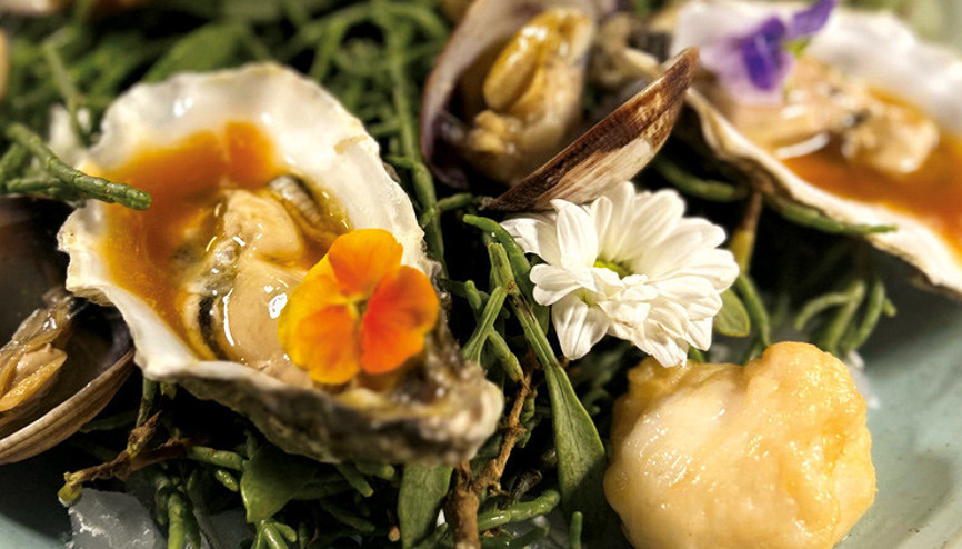 Bir kalamarın ardındaki vizyon Bir kalamarın ardındaki vizyon