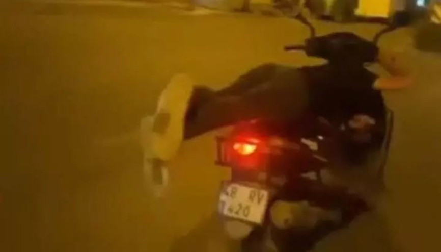 Canını hiçe saydı Motosiklet üzerinde tehlikeli yolculuk