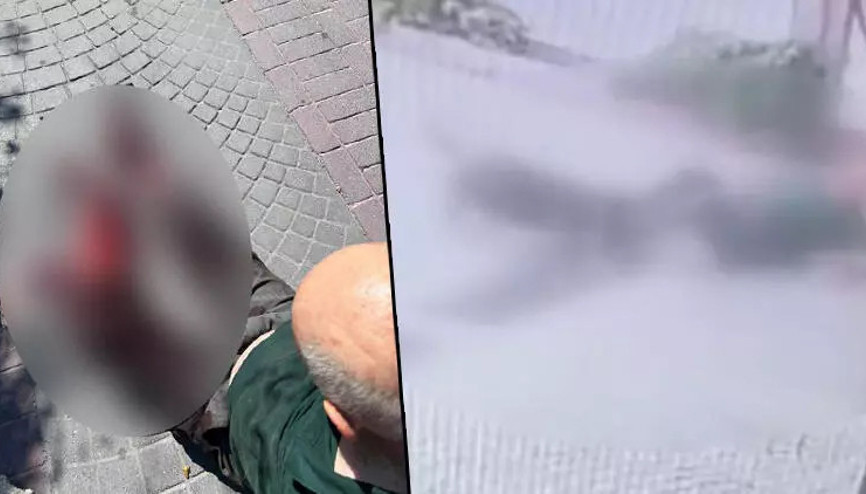 İstanbulda pitbull saldırısı Sahipleri yakalandı