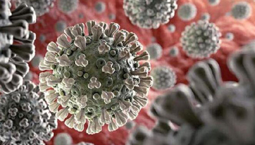 Virüs riski Türkiye için yatırım fırsatı