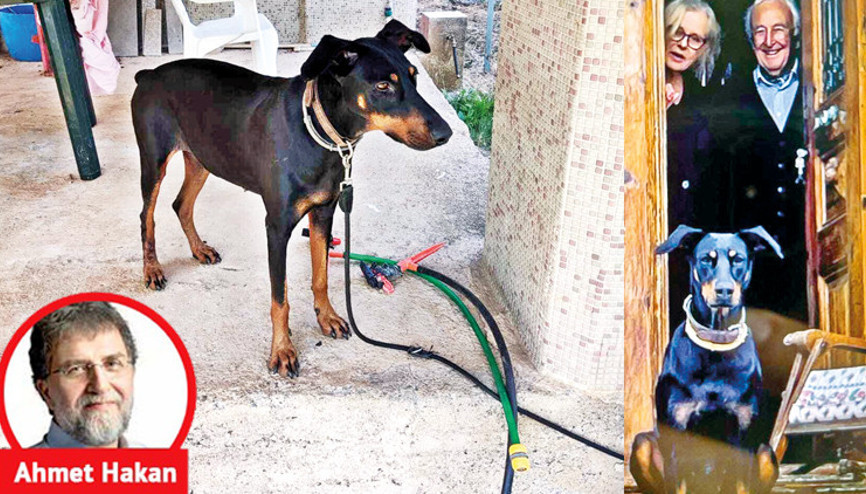 Tina aniden eve dönünce Tina aniden eve dönünce