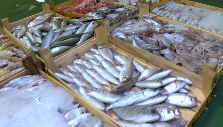 Gürpınarda sezonun ilk balık mezatı yapıldı