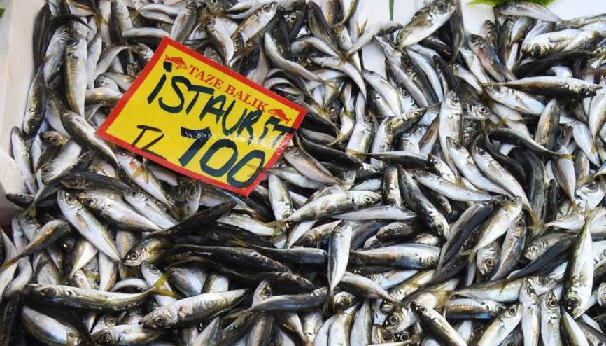 Av yasağı sona erdi, balıklar tezgahlarda yerini aldı