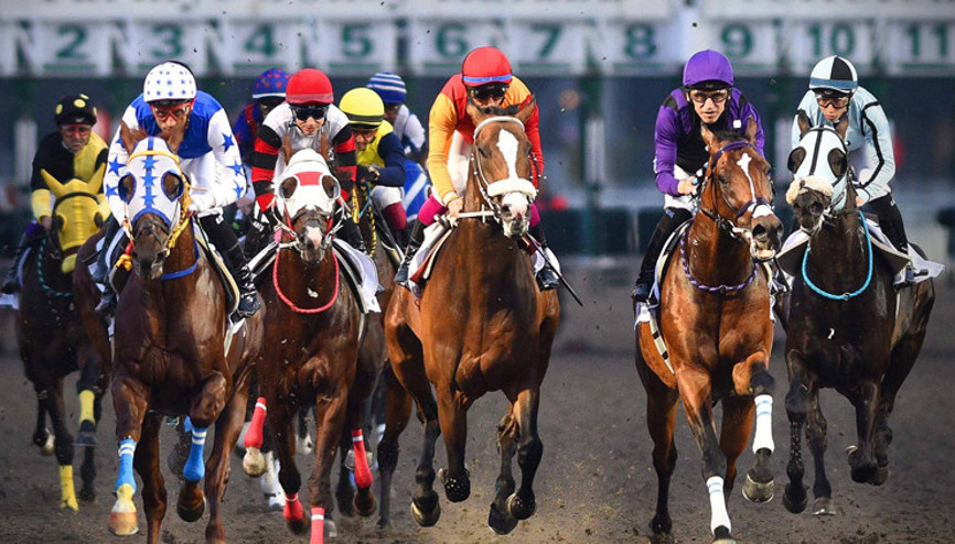 İstanbul Yarış Festivali heyecanı Veliefendi’de yaşanacak