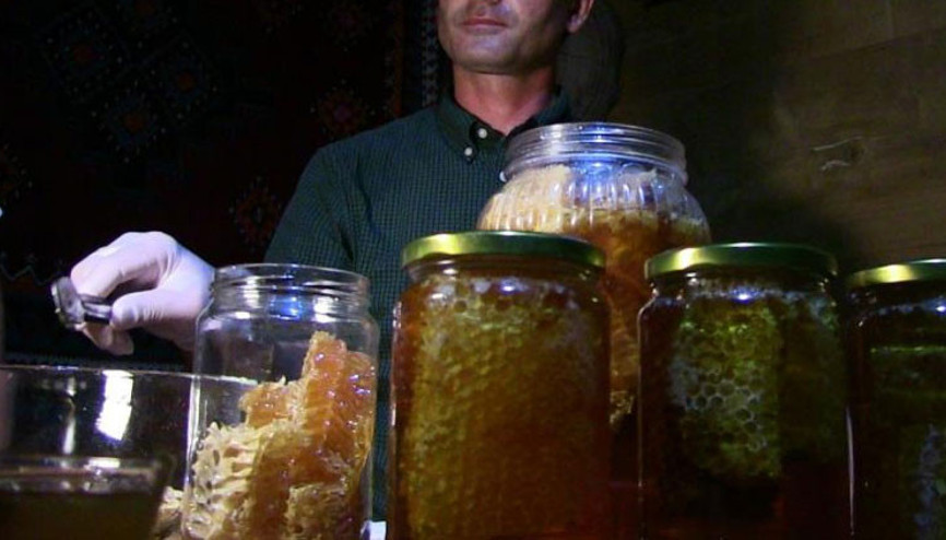 Anzer balına rakip Macahel balı