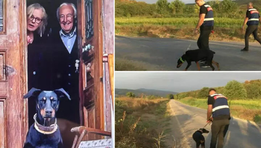 GPS cihazı takılan Tina, her seferinde eve döndü