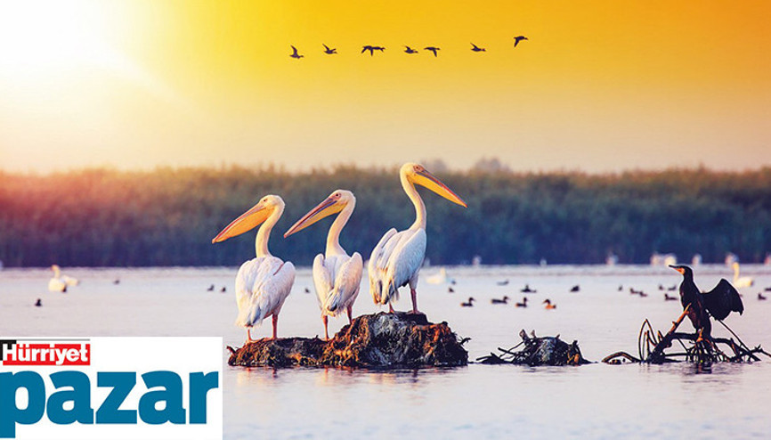 Tam bu mevsimde görmeli