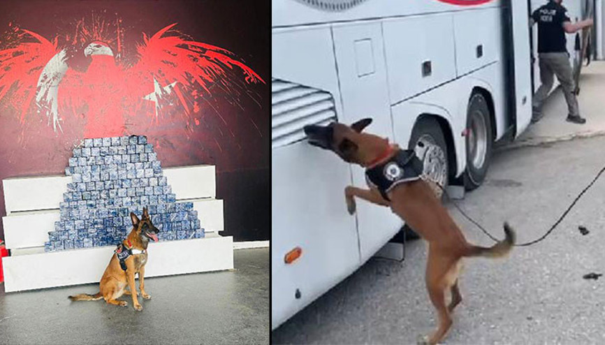 Zeyna buldu Yolcu otobüsünde koltukların altına gizlenmiş 76,5 kilo eroin ele geçirildi