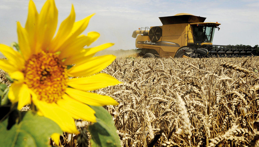 İki yıldır üst üste Rusya’dan tahıl rekoru